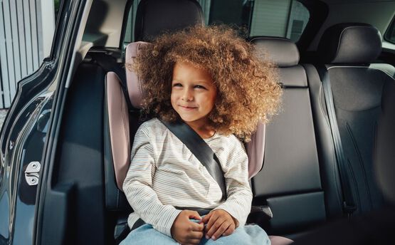 СТАНДАРТ БЕЗОПАСНОСТИ, КОТОРОМУ МОЖНО ДОВЕРИТЬ