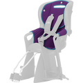 Turquoise/Purple/n.a.